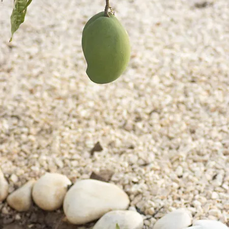 Casa vacanze Urban - A Algarvia *