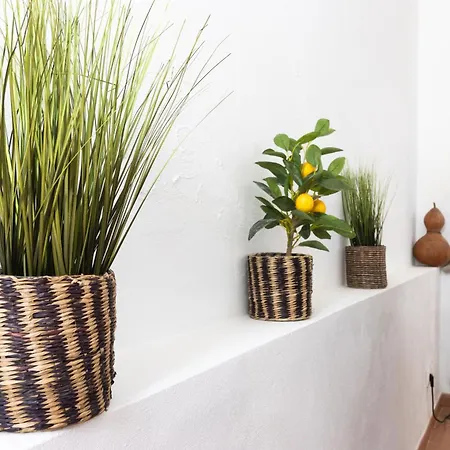 Urban - A Algarvia Portimão